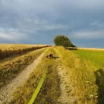 Family Basement Apartment, Breakfast, Free Parking, 5km From Tulln Chorherrn