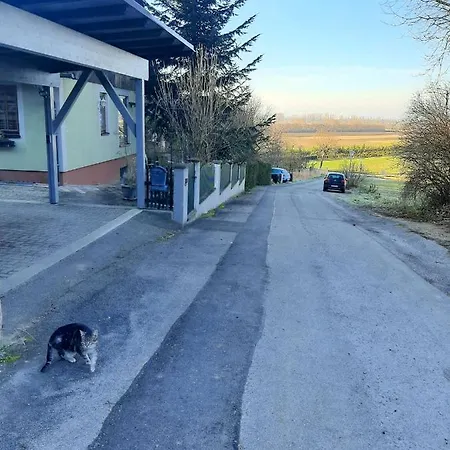 Daire Family Basement Apartment, Breakfast, Free Parking, 5km From Tulln Chorherrn