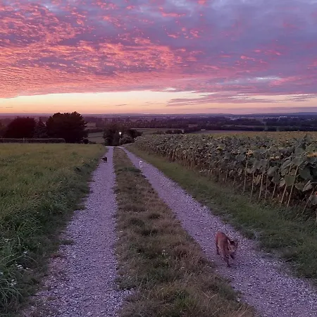 Family Basement Apartment, Breakfast, Free Parking, 5km From Tulln Apartamento *