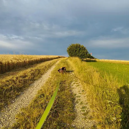 Family Basement Apartment, Breakfast, Free Parking, 5km From Tulln Chorherrn