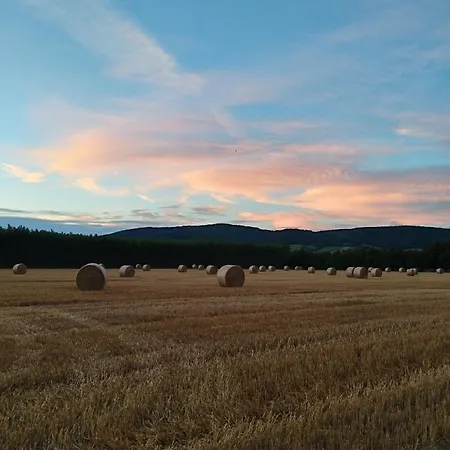 Daire Family Basement Apartment, Breakfast, Free Parking, 5km From Tulln *