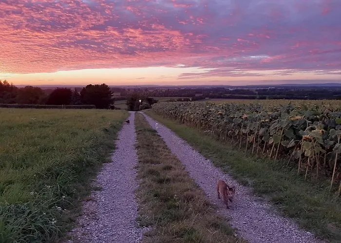 Family Basement Apartment, Breakfast, Free Parking, 5km From Tulln Apartment *