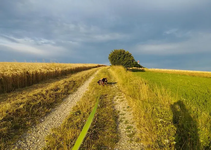 Family Basement Apartment, Breakfast, Free Parking, 5km From Tulln Chorherrn